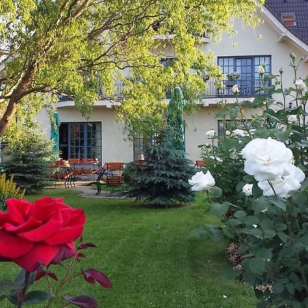Villa Westfalia Guest House Tîrgu Secuiesc Екстериор снимка