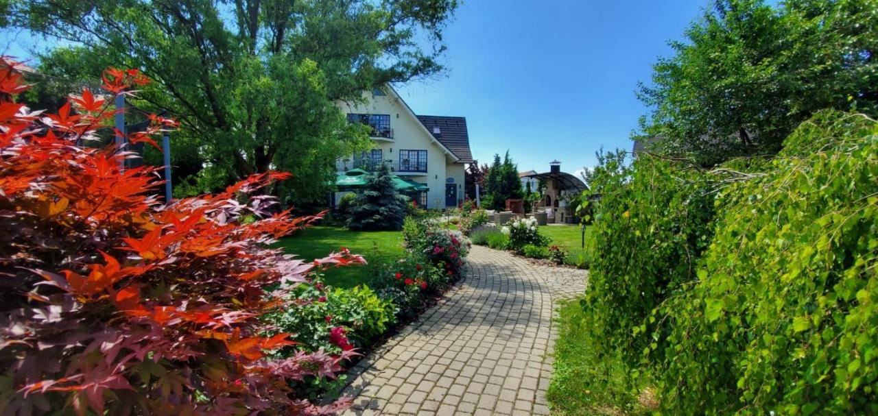 Villa Westfalia Guest House Tîrgu Secuiesc Екстериор снимка