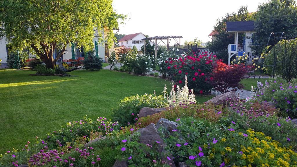 Villa Westfalia Guest House Tîrgu Secuiesc Екстериор снимка
