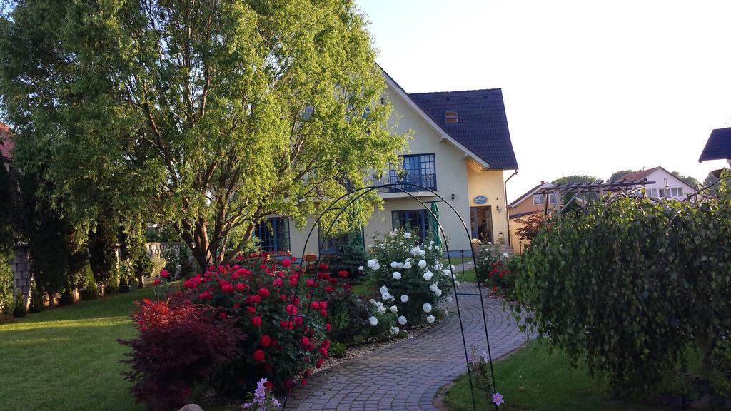 Villa Westfalia Guest House Tîrgu Secuiesc Екстериор снимка